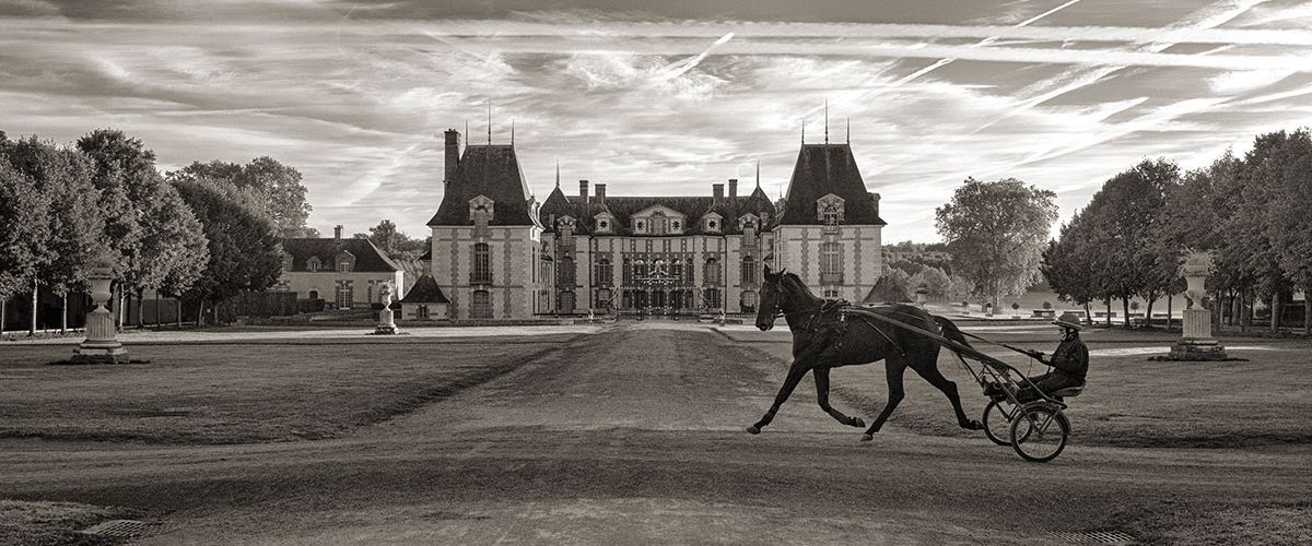 Horses-Frankreich-1171n3 - Helmut Warnstedt - Art & Photography Hamburg